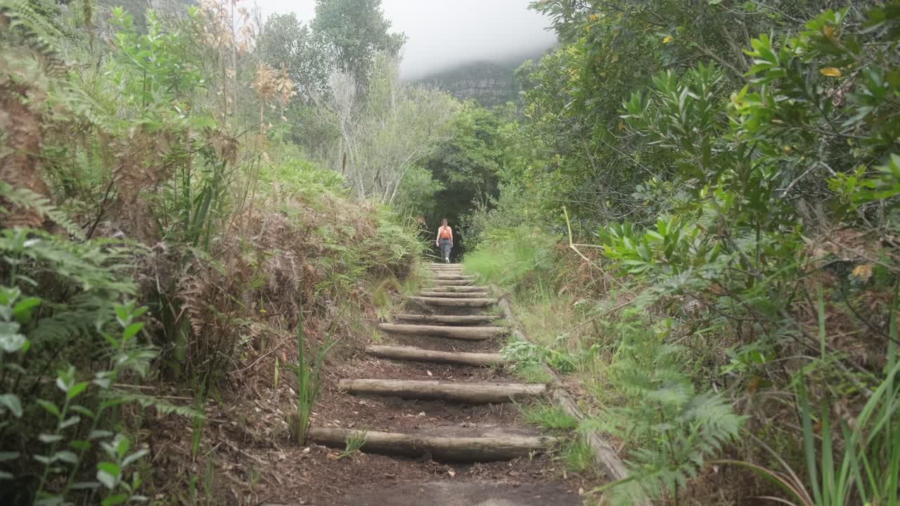 niña caminando hacia un denso bosque para una caminata en ciudad del cabo sudáfrica en el jardín botánico kirstenbosch
