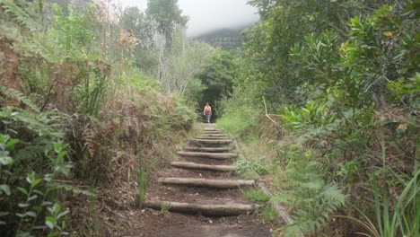 Niña-Caminando-Hacia-Un-Denso-Bosque-Para-Una-Caminata-En-Ciudad-Del-Cabo-Sudáfrica-En-El-Jardín-Botánico-Kirstenbosch