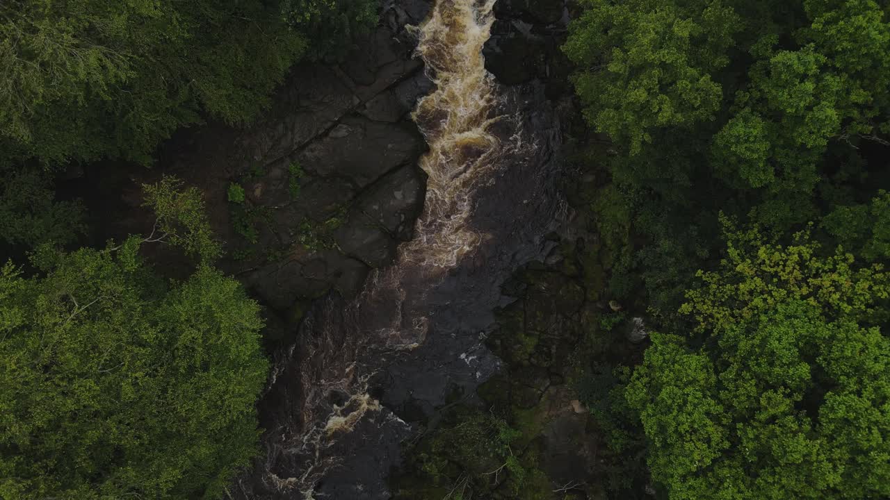 Rising birds' eye view drone shot of powerful Yorkshire river surrounded by trees in autumn