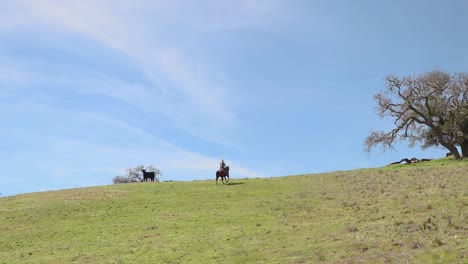 With-the-sky-covering-2-3-of-the-frame,-the-cowboy-sets-out-to-ride-the-ridgeline