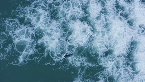 solo brave adventurous surfer moving against frothy sea waves, aerial