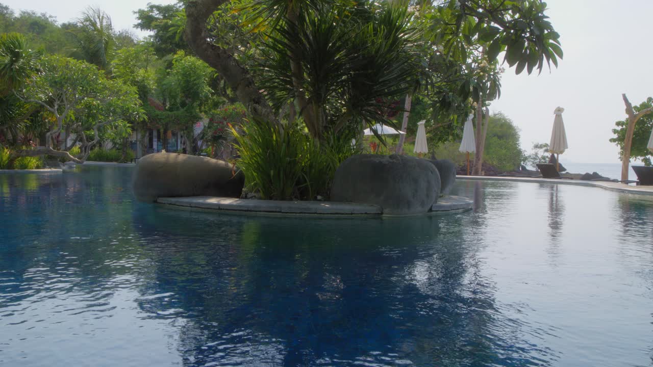 Træer i pool på Bintang Flores Hotel, Labuan Bajo, Indonesien