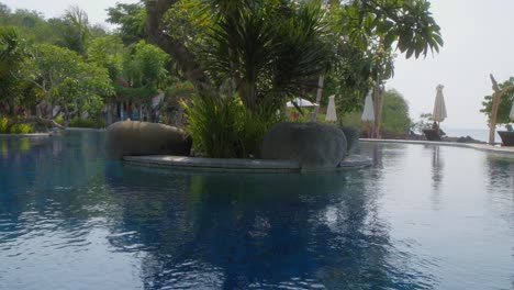 trees in pool in bintang flores hotel, labuan bajo, indonesia