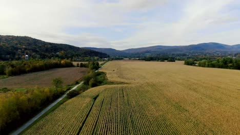 Campo-De-Maíz-Con-Sendero-Ferroviario-Para-Andar-En-Bicicleta-Y-Caminar-En-El-Otoño-En-Vermont-A-Través-De-Imágenes-De-Drones-4k