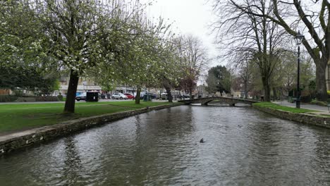 Low-drone-shot,-Blossom-trees-in-spring-on-river-Windrush-Bourton-on-the-Water-Cotswold-village-England