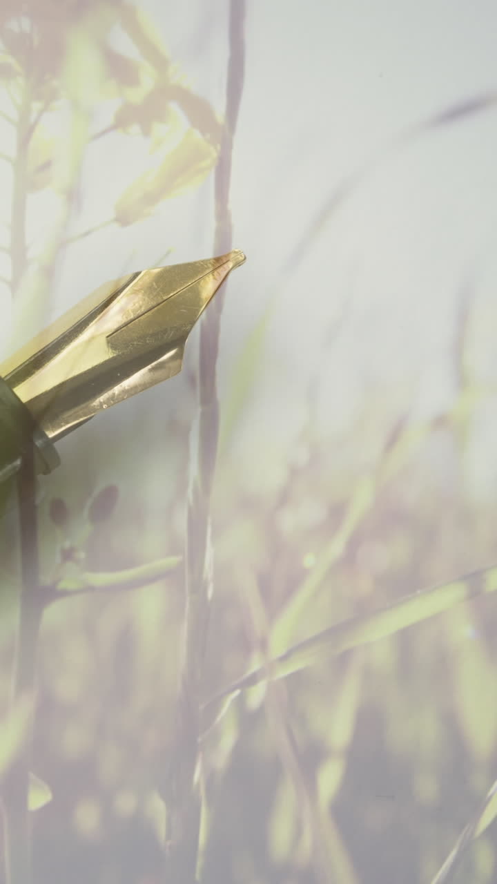 Animazione di erba su penna