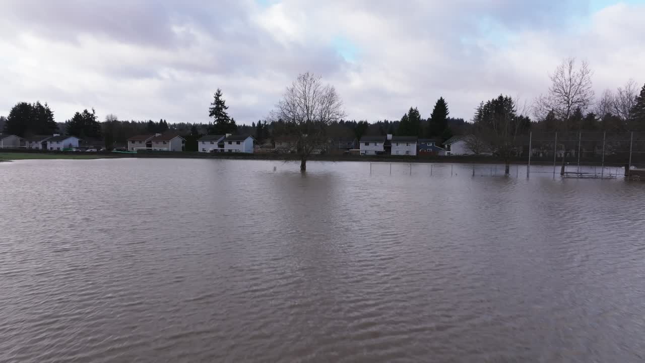 Ducks Swimming In Overflow White River After Levee Failure Near Pacific Neighbourhood In Washington State, USA. Aerial Drone Shot