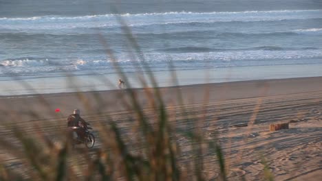 un motociclista hace un caballito en una playa de arena sin nadie alrededor para admirar su habilidad