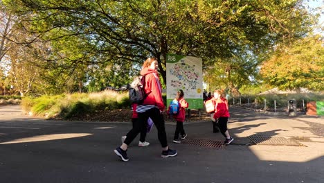 group of children walking at melbourne zoo