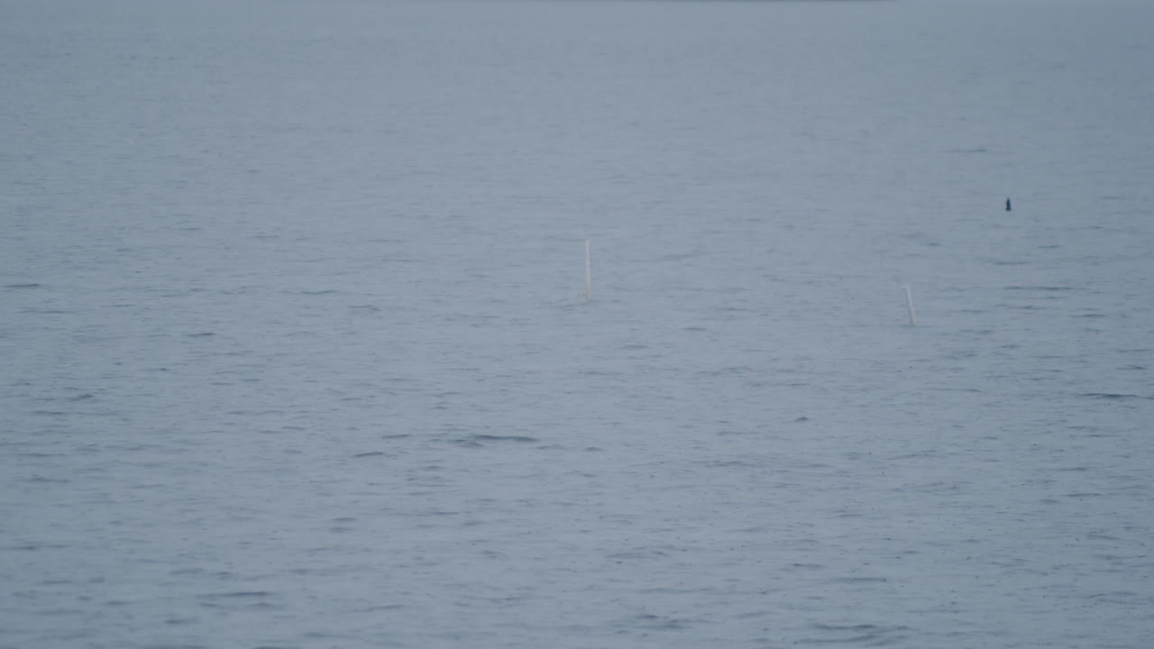 Gentle waves ripple across the surface of a lake during a light rain, with only the darkened water in view. The scene captures the quiet and moody atmosphere of a rainy day.