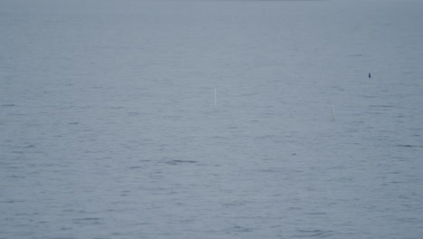 gentle waves ripple across the surface of a lake during a light rain, with only the darkened water in view. the scene captures the quiet and moody atmosphere of a rainy day.