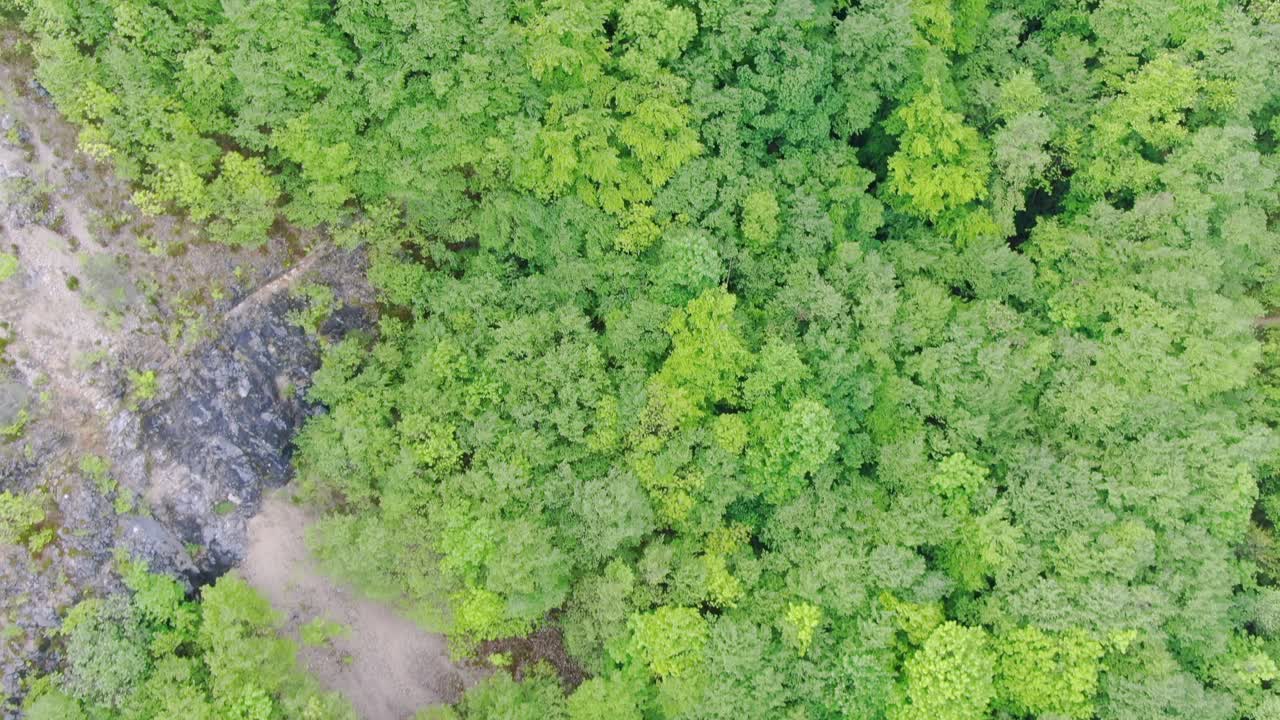 Aerial fly over pristine and untouched forest, rock wall. Lush beautiful nature