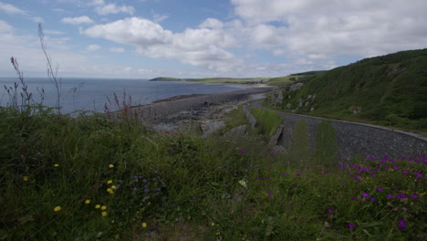 wide shot of auchenmalg bay with black car driving down the a747 road, glass and flower in foreground.