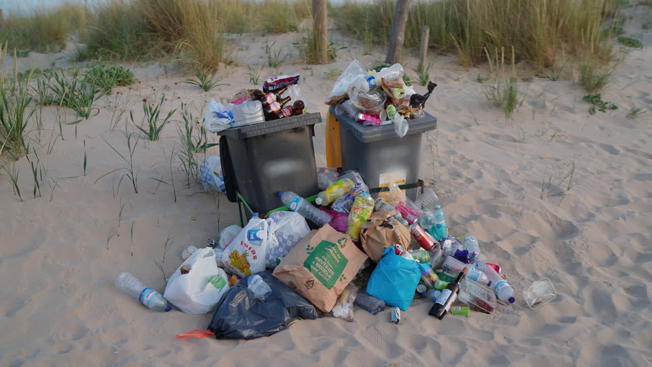 Overflowing garbage bins on a beach accumulate more and more waste, highlighting a problem of environmental pollution due to poor waste management