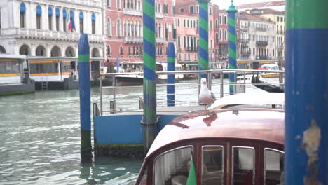 A-dock,-a-bird-on-top-of-a-boat-or-Venice-vaporetto,-in-a-grand-canal