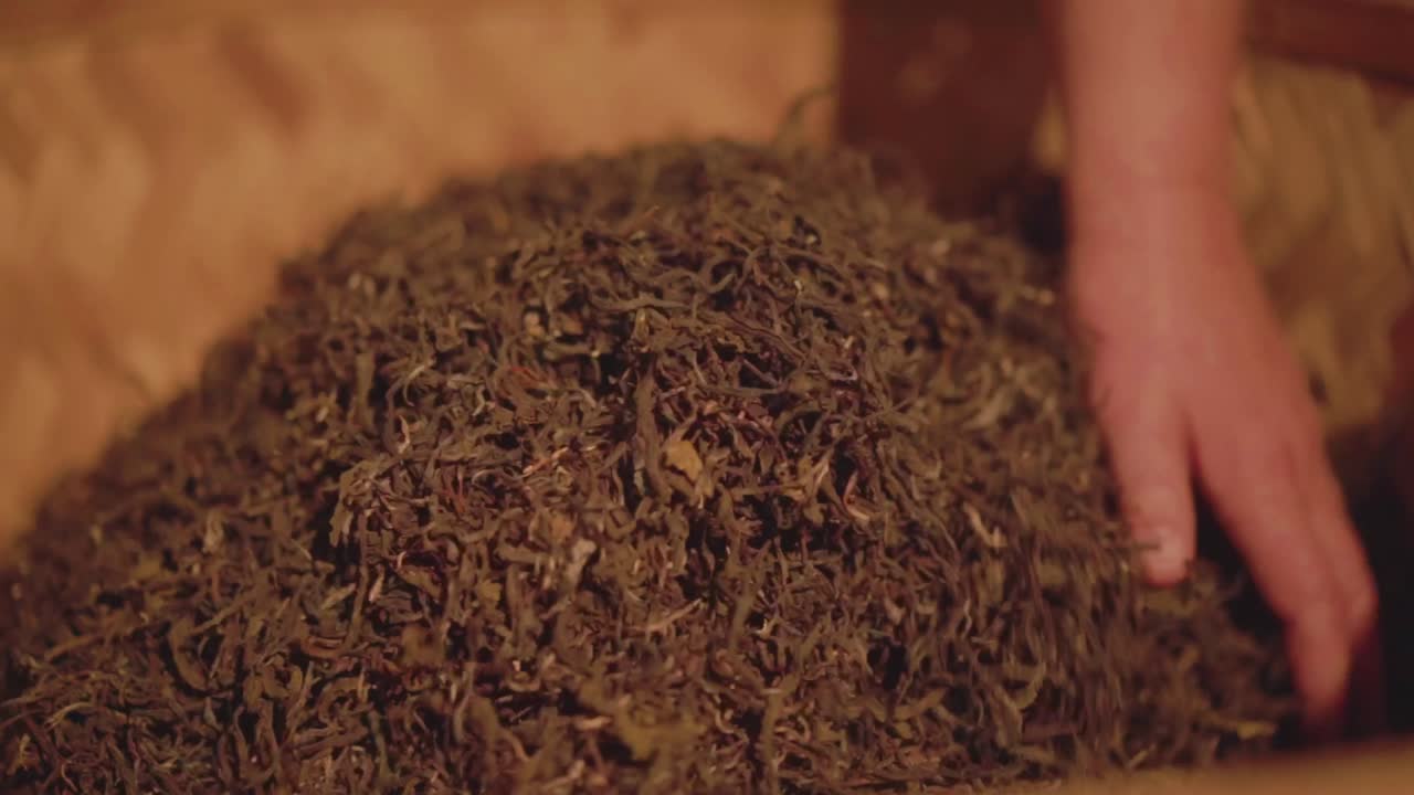 Macro shot of fermented tea leaves after drying, showcasing texture and color. Great for organic tea, handmade products, and traditional methods.