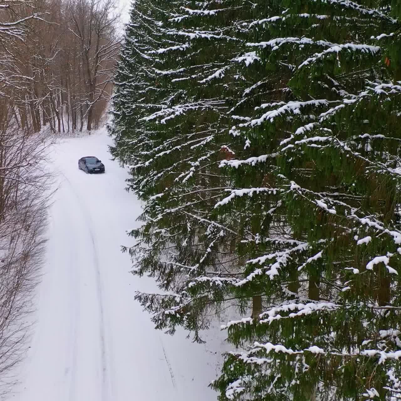 Snowy forest with car on road