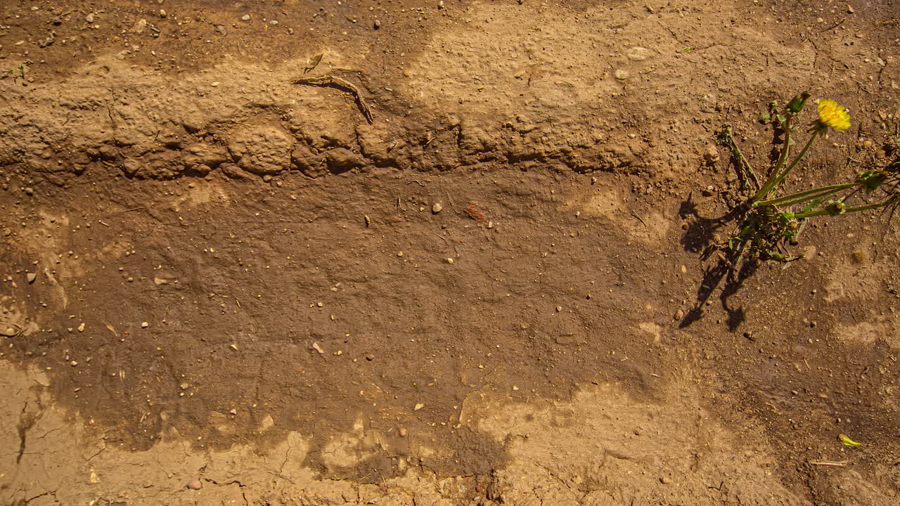 태양이 하늘을 지날 때 증발이 일어난다.