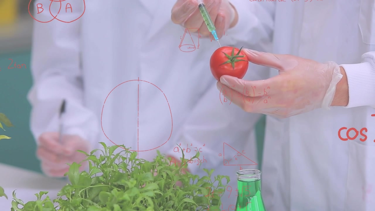 Animazione di equazioni matematiche su scienziati caucasici che inoculano un pomodoro.