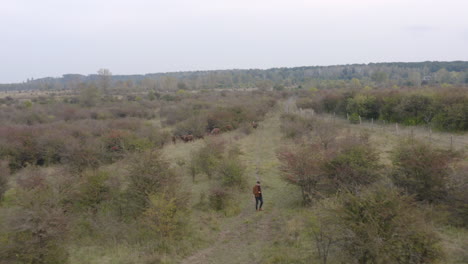 Photographer-with-a-camera-texting-while-documenting-a-bison-herd