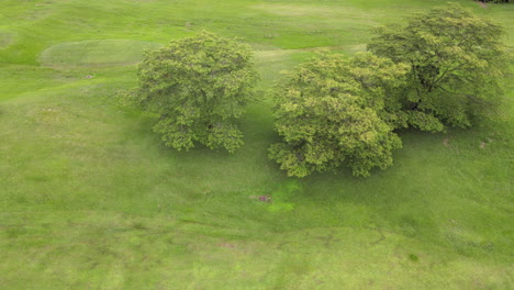 colombia eastern plains - llanos orientales 25