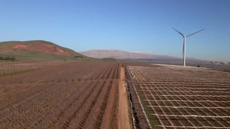 Low-Level-Drohnenschuss,-Weinbergfelder-Und-Windkraftanlage,-Tal-Der-Tränen,-Israel