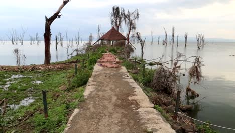 überflutete-Ländliche-Landschaft-Mit-Afrikanischer-Hütte-Im-Naivashasee,-Kenia