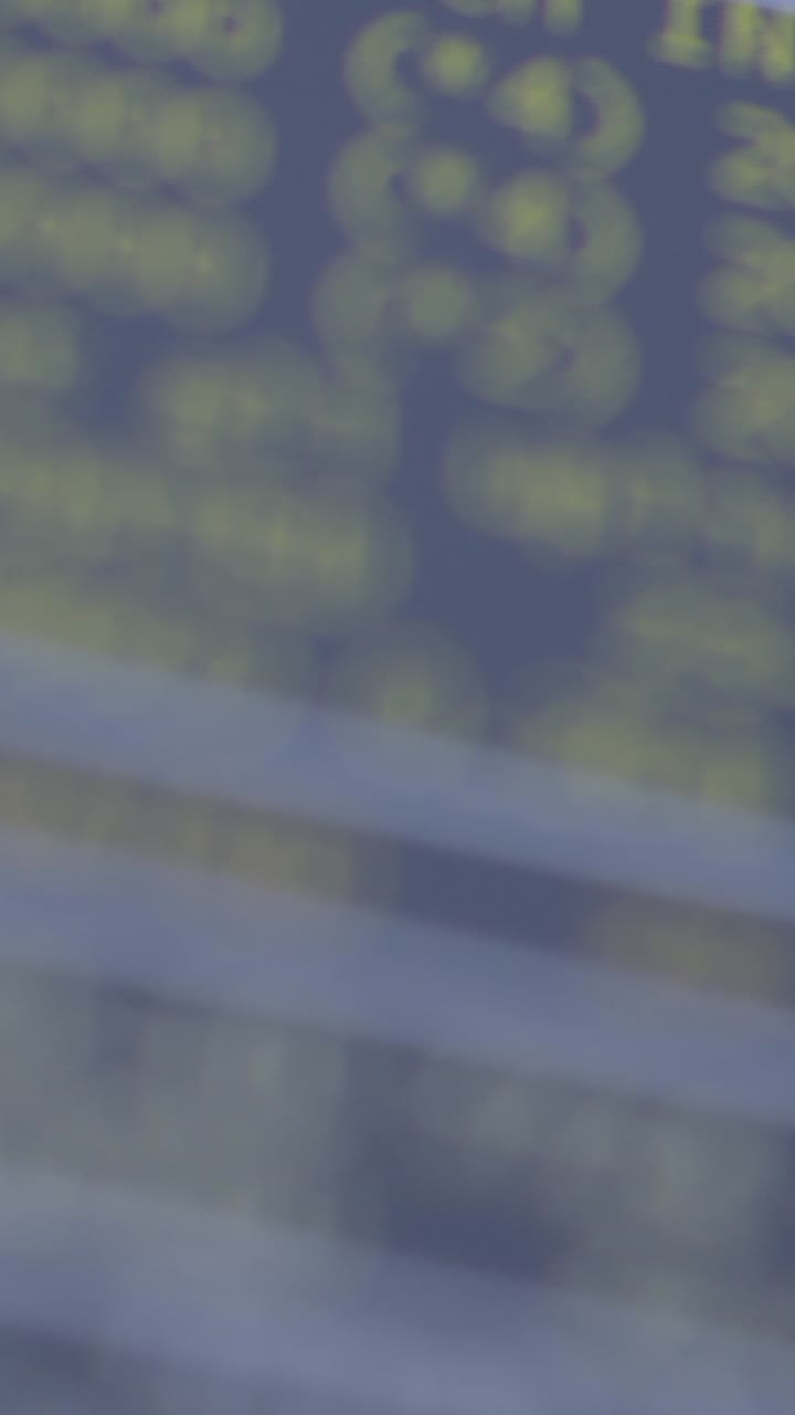 Close-up of computer code on screen, vibrant colors, technical focus