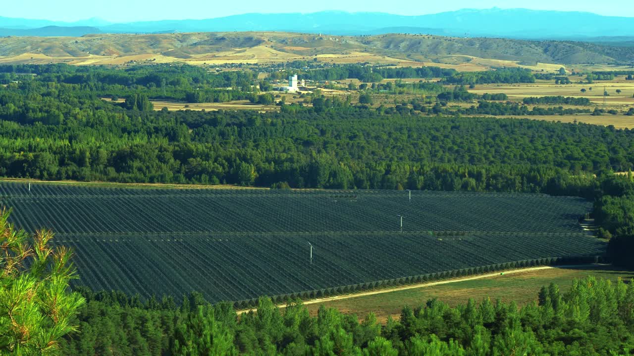 Many acres of apple tree orchards under cover providing fruit for Europe