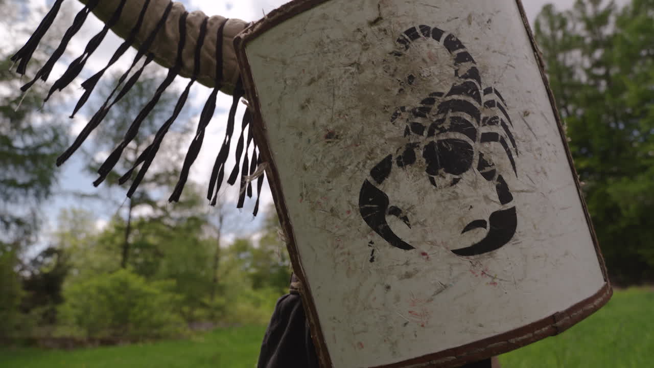 Medieval Warrior with Scorpion Shield