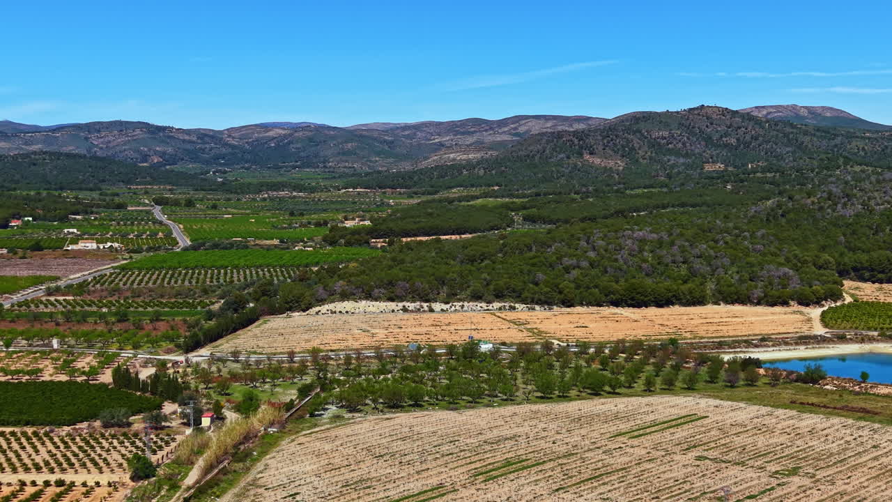 Ampia veduta di campi agricoli e vigneti in una zona rurale di giorno, con montagne sullo sfondo e un cielo azzurro limpido