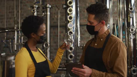 diverse male and female colleague in face masks at gin distillery checking product, using tablet