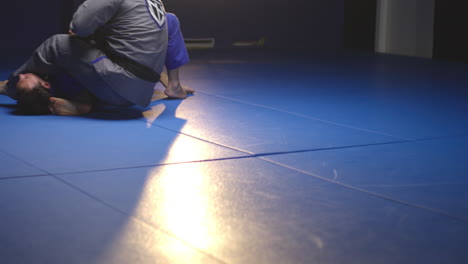 jiu-jitsu training session
