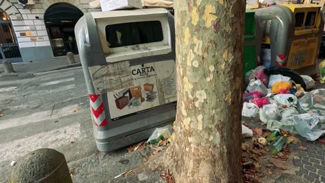 trash and recycling bins overflowing with waste