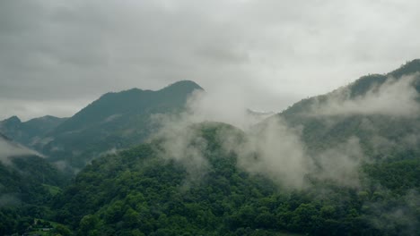 misty hills in thailand