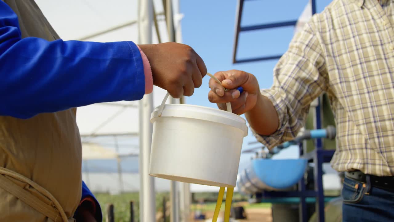 trabajadores pesando su canasta de arándanos en la cola 4k