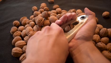 young man is cracking some fresh dried walnuts-4