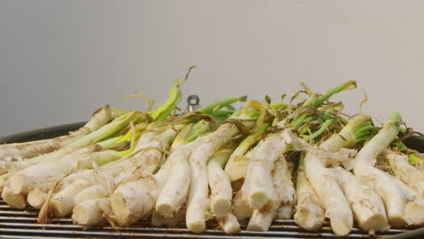 spring onions on a grill