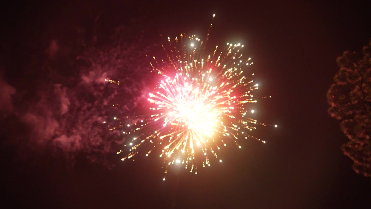 Beautiful colourful fireworks explode in slow motion against night sky