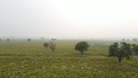 Bangladesh-marshland-on-foggy-winter-day,-aerial-drone-view