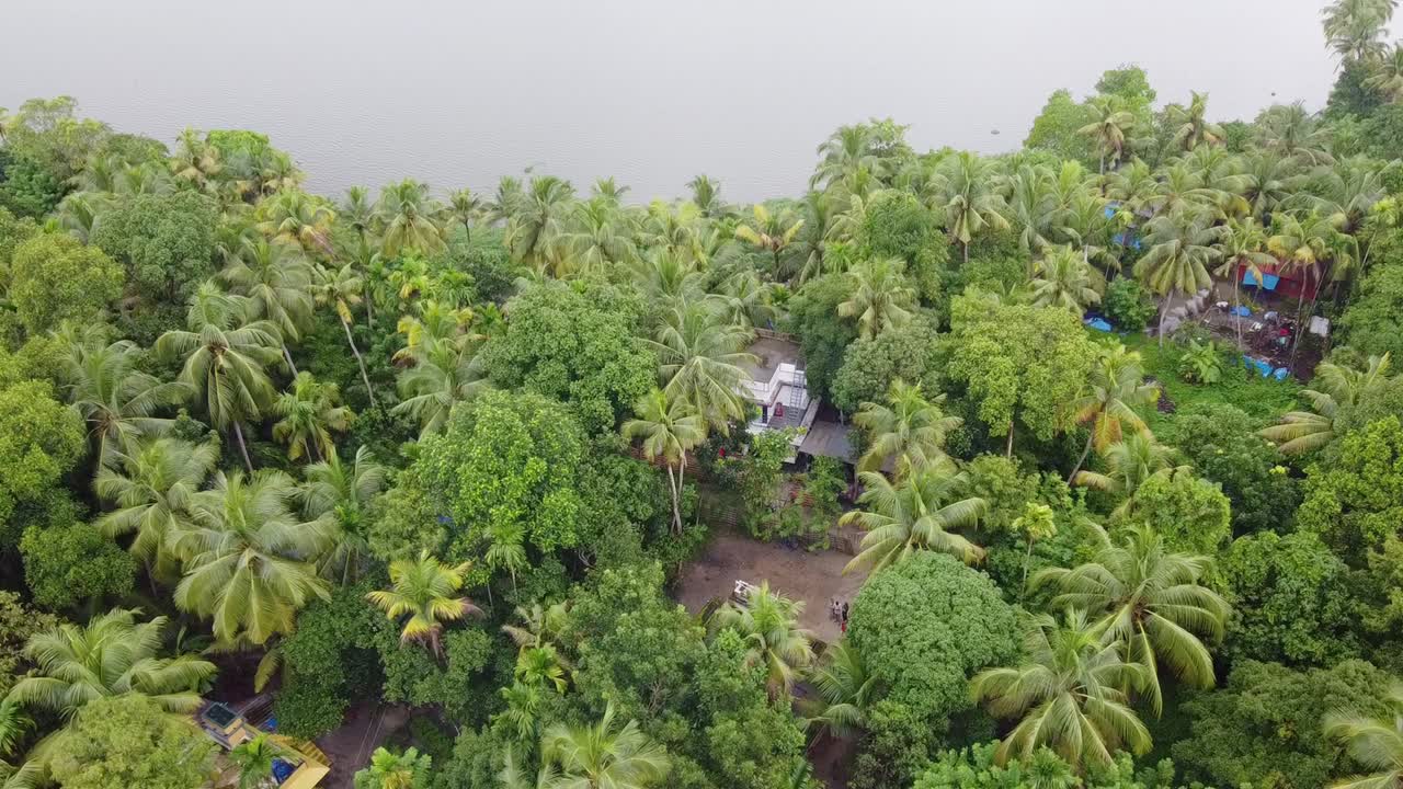 High angle view of an area with a cluster of coconut trees, village , tropical region of Kerala ,India