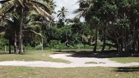 Flying-between-beach-huts-towards-tropical-palm-trees