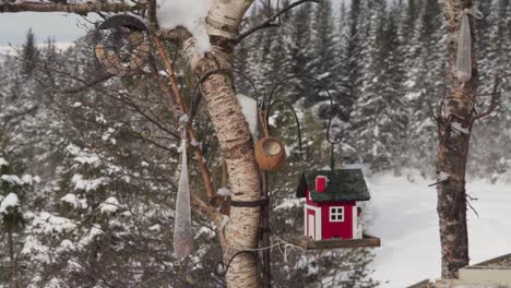 Vögel-Fressen-Auf-Vogelhäuschen,-Die-Am-Baum-Hängen,-Mit-Verschneitem-Wald-Im-Hintergrund