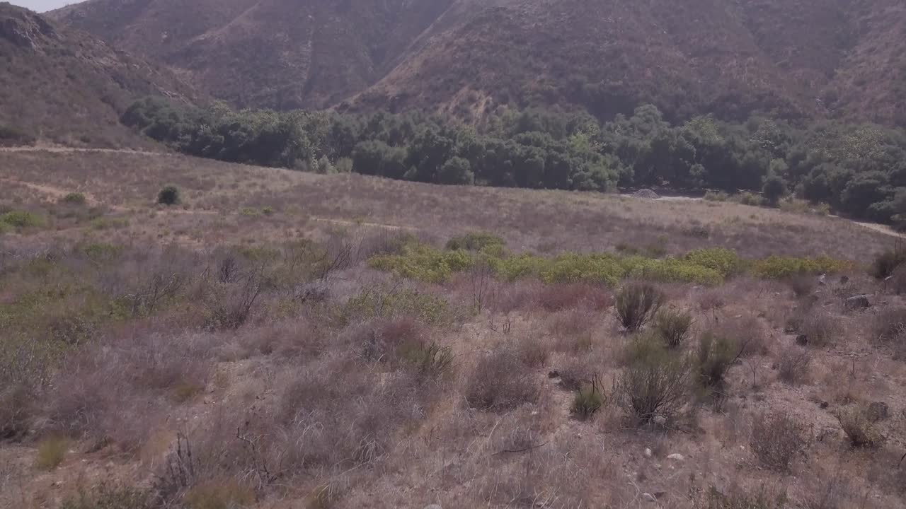 vista de un avión no tripulado ascendiendo pasando por las plantas de un campo a un bosque
