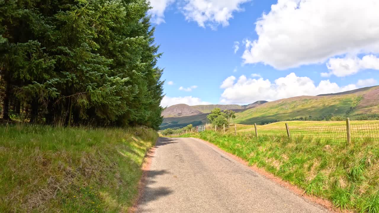 A scenic drive on a narrow country road winds through grassy hills, pine trees, and stone walls under bright daylight in rural Scotland