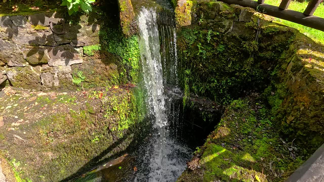 pequeña cascada cerca del puente de madera y la vegetación