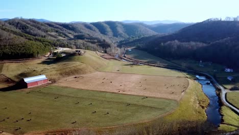 Wunderschöne-Luftaufnahme-Hoch-über-Dem-Gebirgstal-Mit-Roter-Scheune-Und-Vieh-In-Den-North-Carolina-Mountains-In-Der-Nähe-Von-Boone-Und-Blowing-Rock-North-Carolina,-North-Carolina