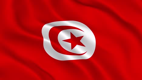 flag of tunisia smooth wavy animation. the national flag of the republic of tunisia flutters in the wind. realistic 3d render