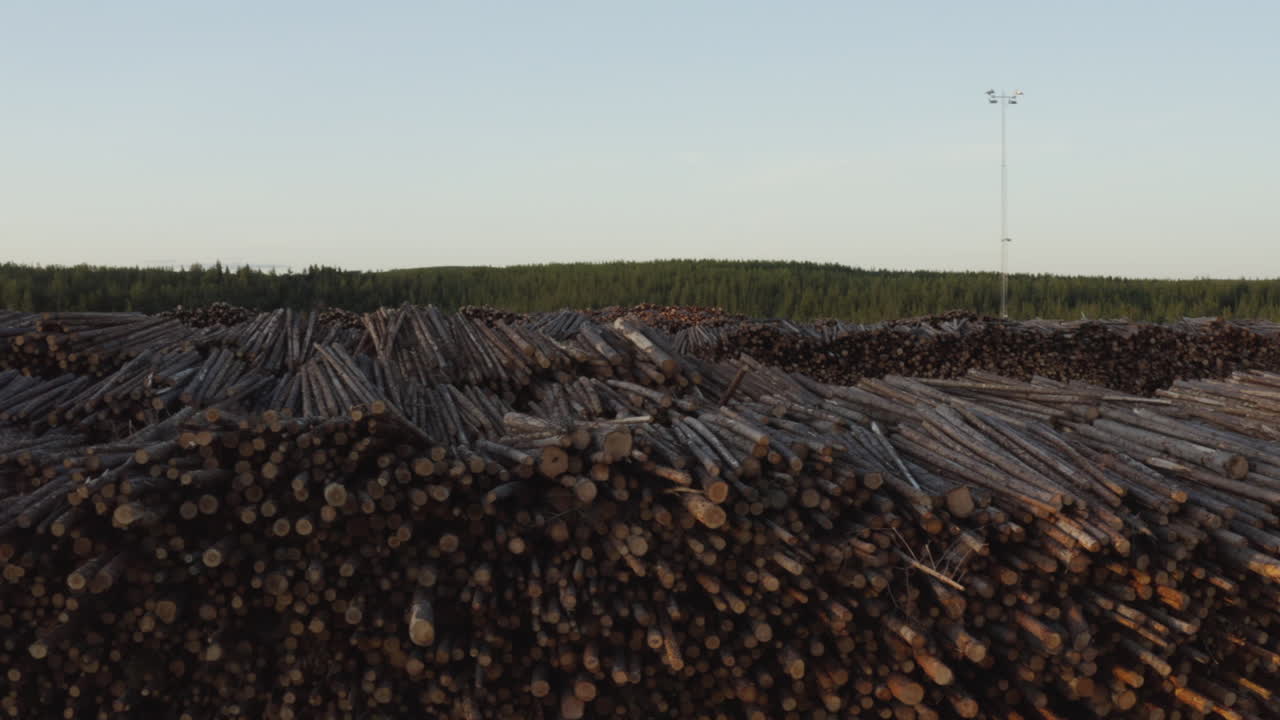 vista aérea sobre troncos de árboles apilados y madera