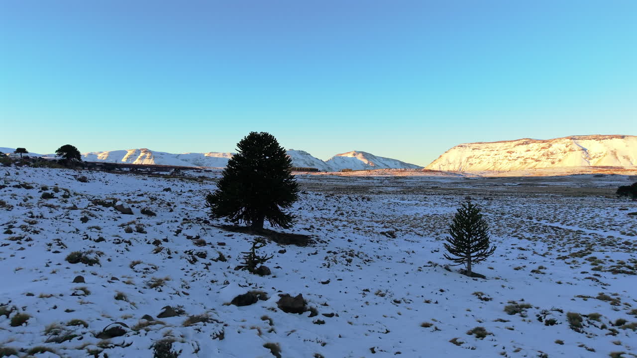 Golden light touches snowy Caviahue during a tranquil winter sunrise or sunset